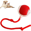 Smart Ball Toy Interactive Dog, Cat Ball Toy 360 Smart Automatic Rolling Pet Ball