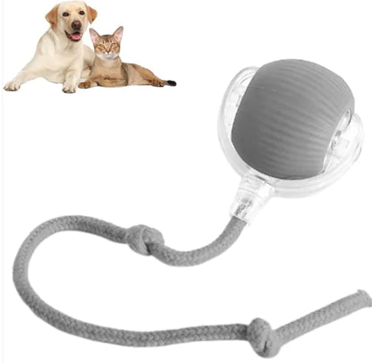 Smart Ball Toy Interactive Dog, Cat Ball Toy 360 Smart Automatic Rolling Pet Ball