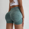 Seamless High-Waist Sports Leggings – Women's Activewear Tights
