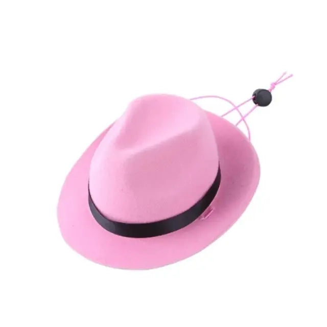 Star Cowboy Hat Pet